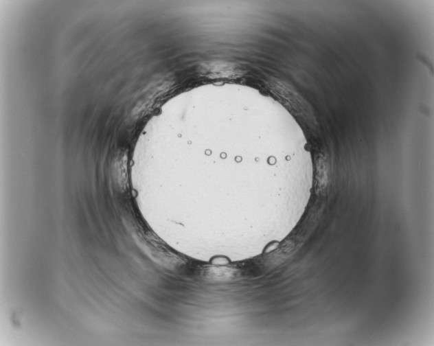 X0000102470376200808291610