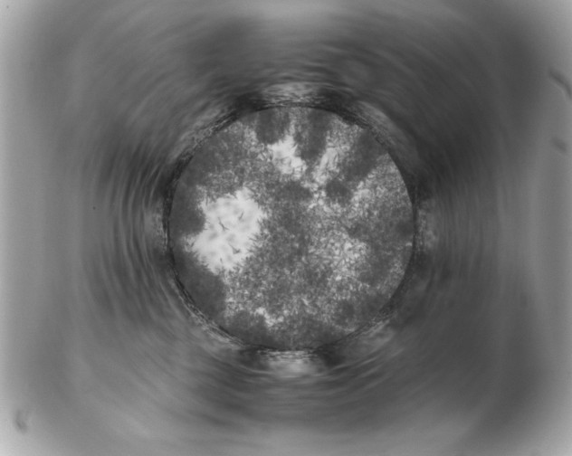 X0000102470377200808291610