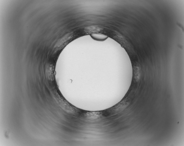 X0000102470378200808291610