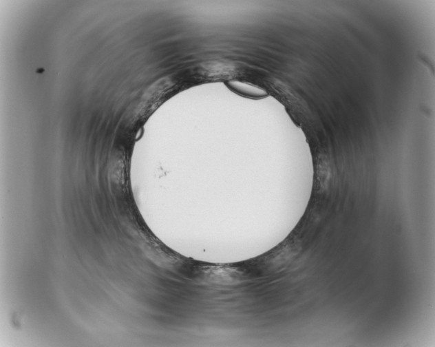 X0000102470379200808291610