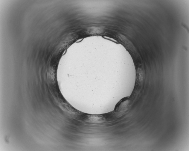 X0000102470380200808291610