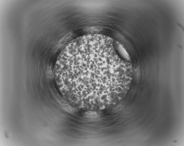 X0000102470381200808291610