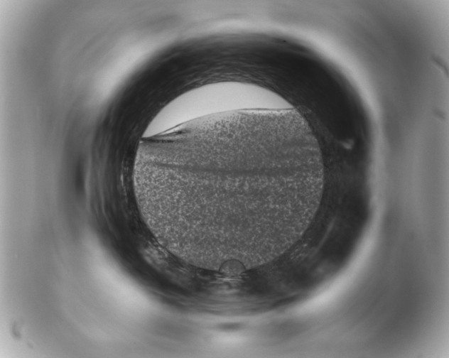 X0000102470382200808291610
