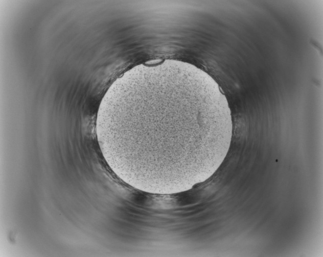 X0000102470383200808291610