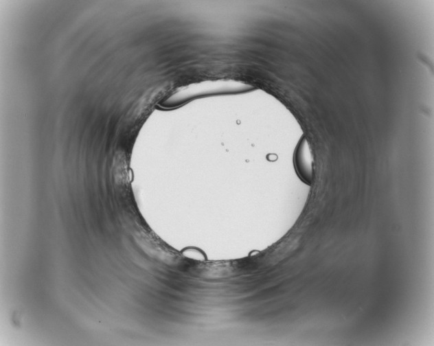 X0000102470384200808291610