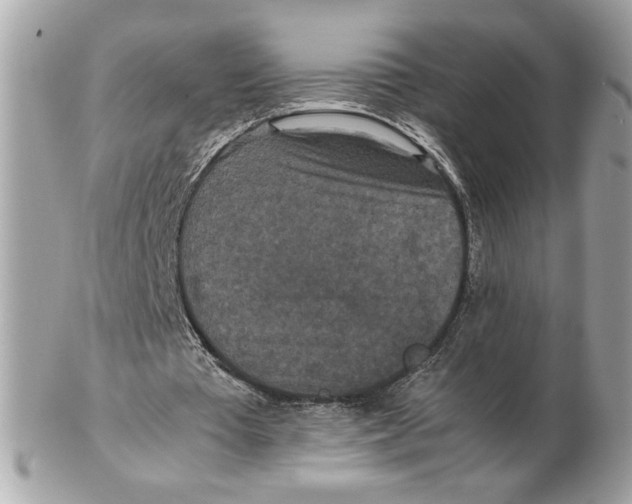 X0000102470385200808291609