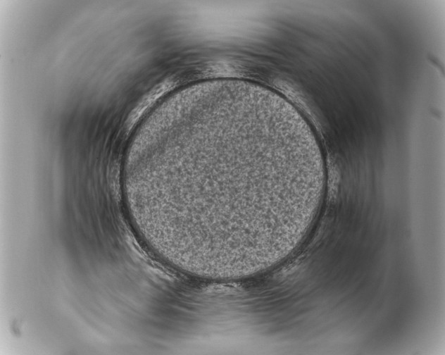 X0000102470386200808291609