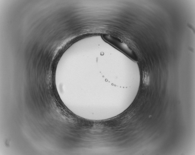 X0000102470388200808291609