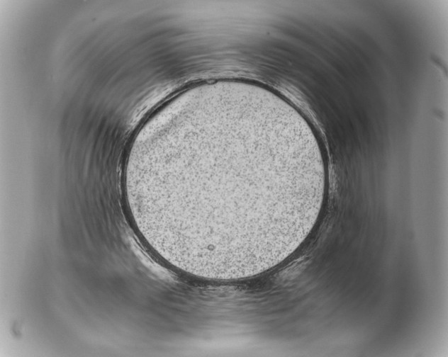 X0000102470389200808291609