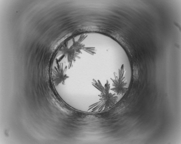 X0000102470390200808291609