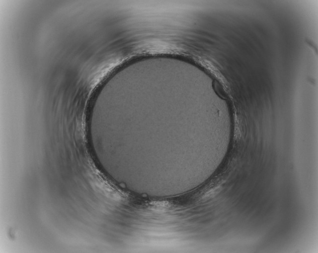 X0000102470391200808291609