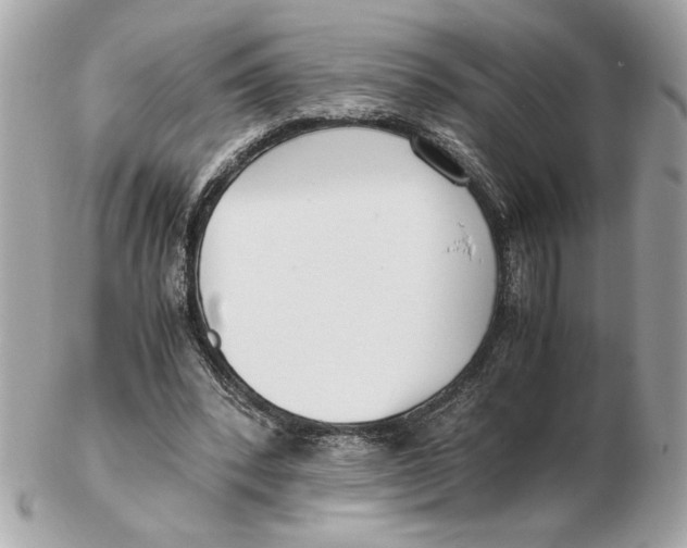 X0000102470392200808291609