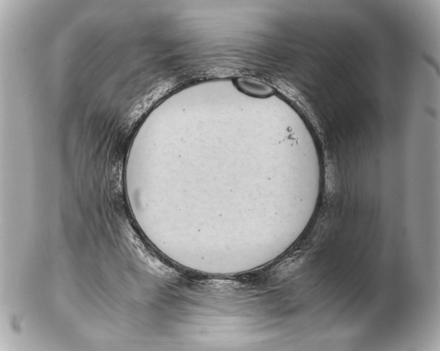 X0000102470393200808291609