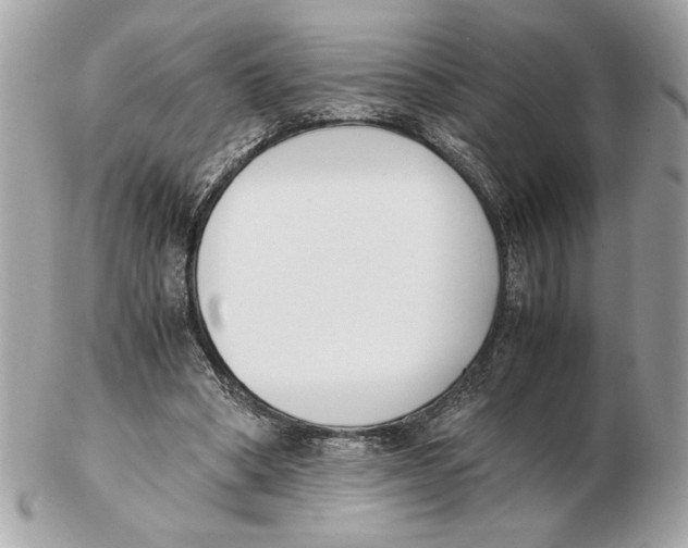 X0000102470394200808291609