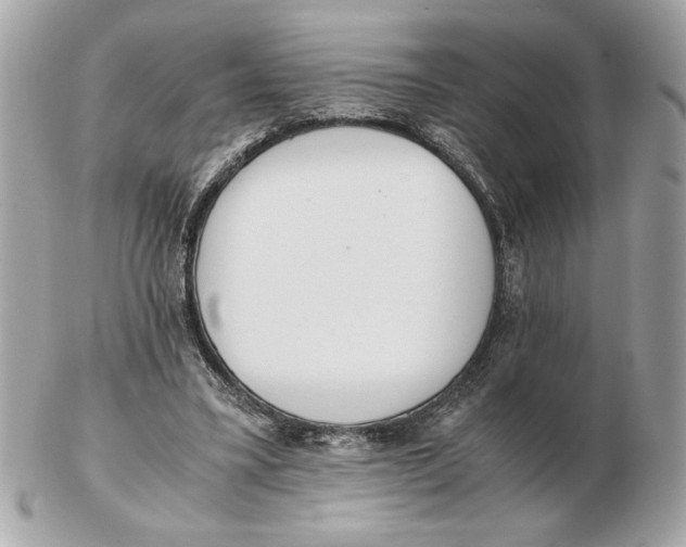 X0000102470395200808291609
