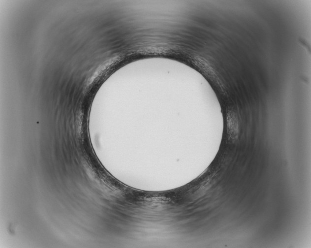 X0000102470396200808291609
