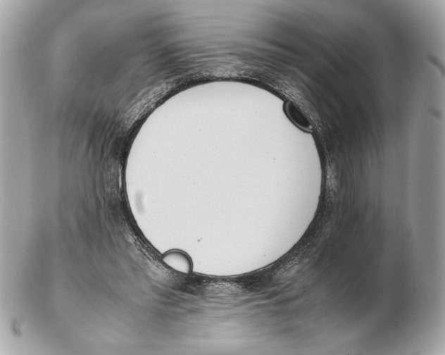 X0000102470397200808291609