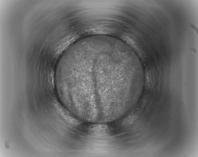 X0000102470398200808291609