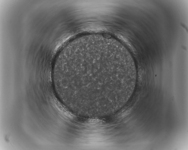 X0000102470399200808291609
