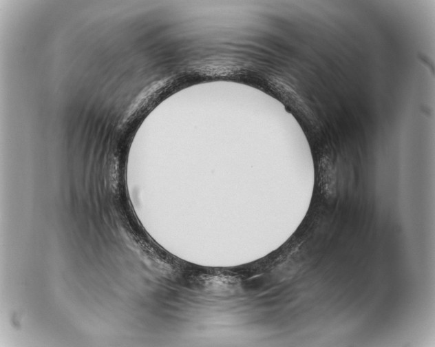 X0000102470400200808291609