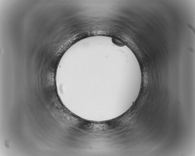 X0000102470401200808291609