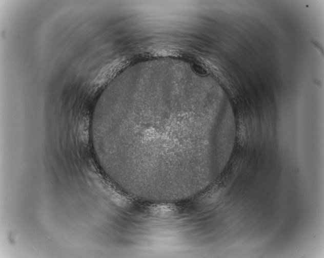 X0000102470402200808291609