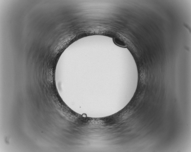X0000102470403200808291609