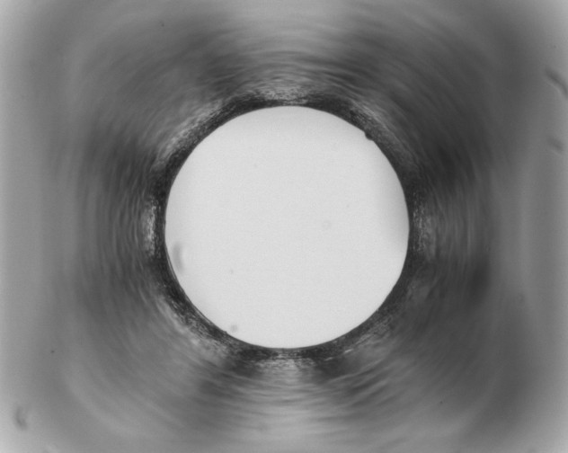 X0000102470404200808291609