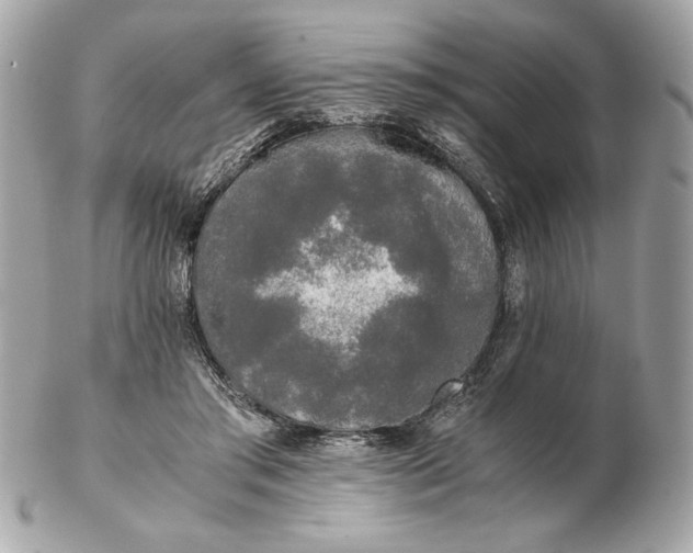 X0000102470405200808291609