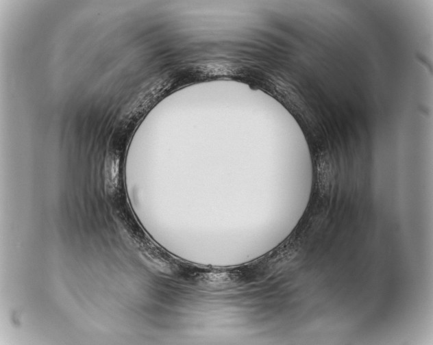 X0000102470406200808291609