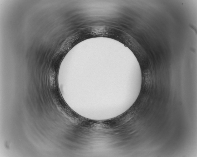 X0000102470408200808291609