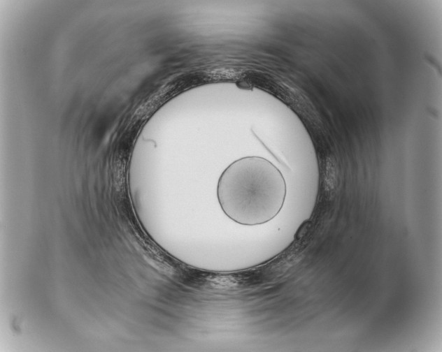 X0000102470409200808291609