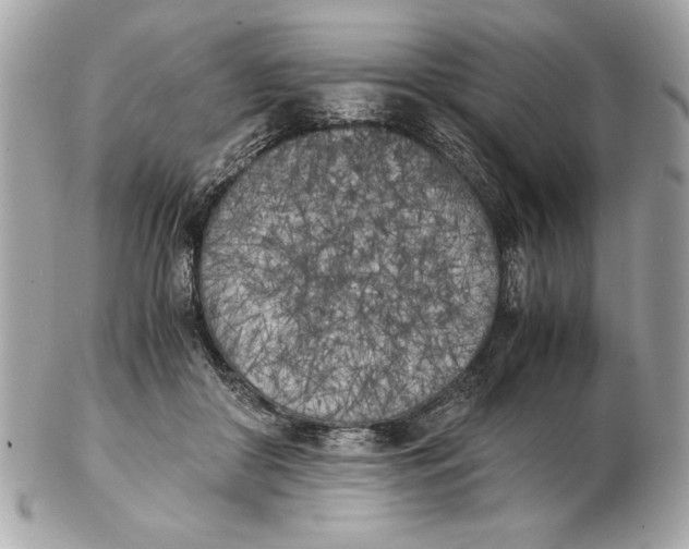 X0000102470410200808291609