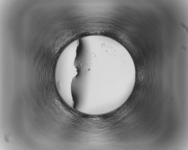 X0000102470411200808291609