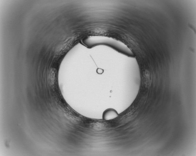 X0000102470412200808291609