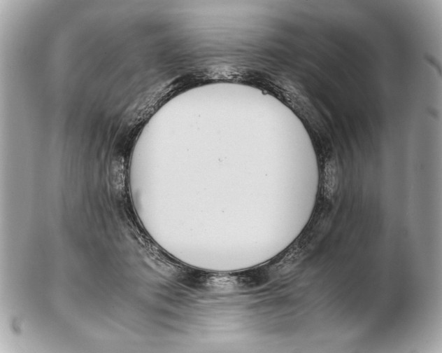 X0000102470413200808291609