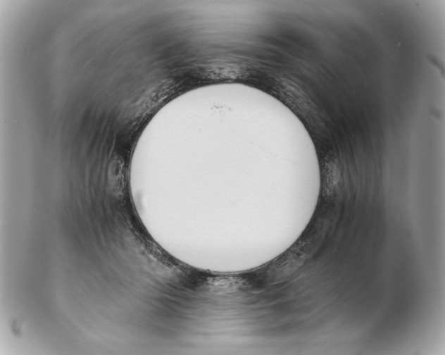 X0000102470414200808291609