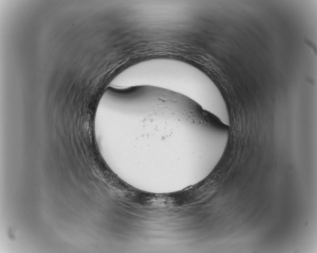 X0000102470415200808291609