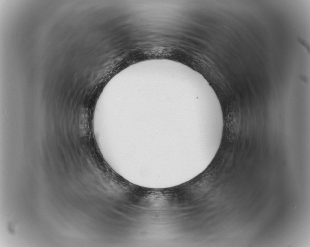 X0000102470416200808291609