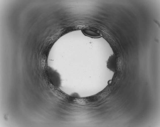 X0000102470417200808291609