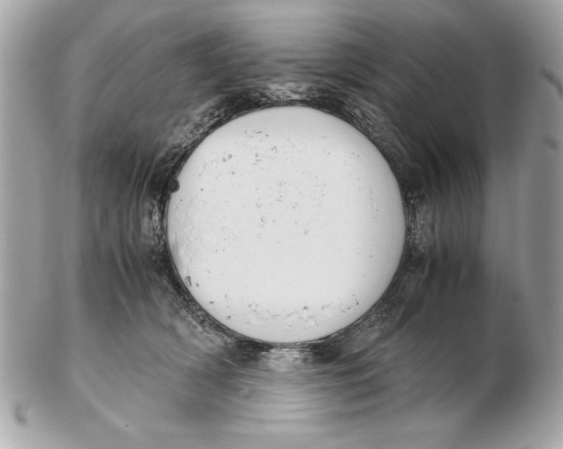 X0000102470418200808291609