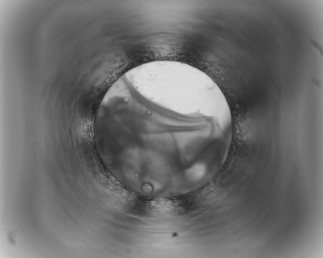 X0000102470419200808291609