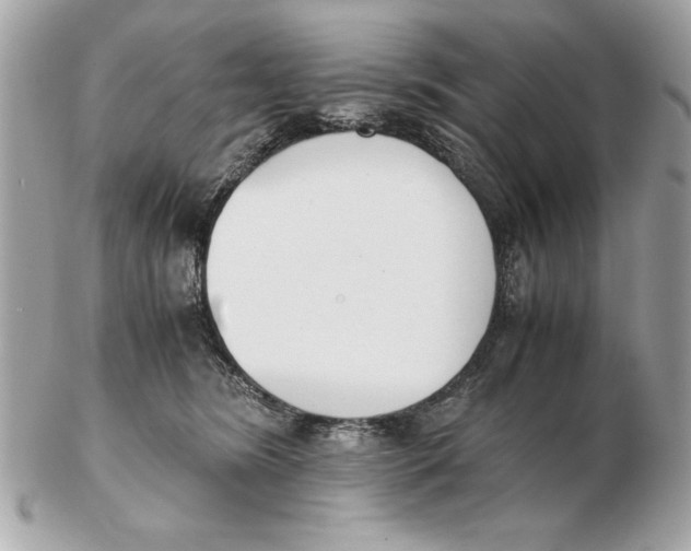 X0000102470420200808291609