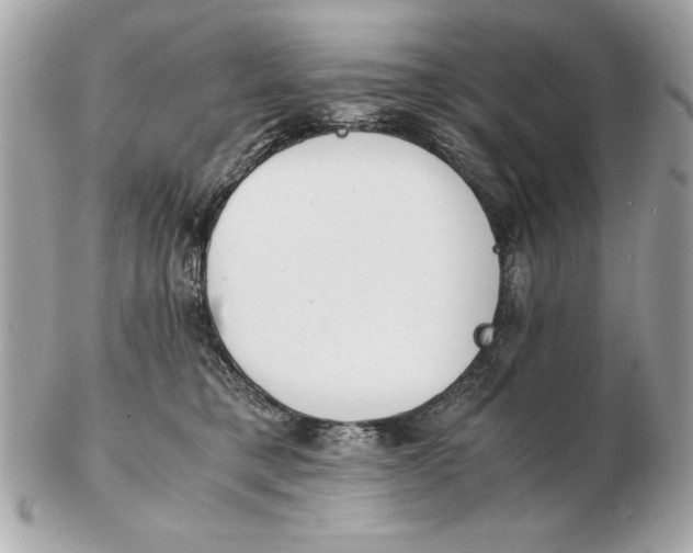 X0000102470421200808291609