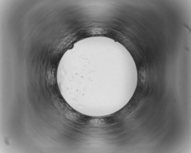 X0000102470422200808291609
