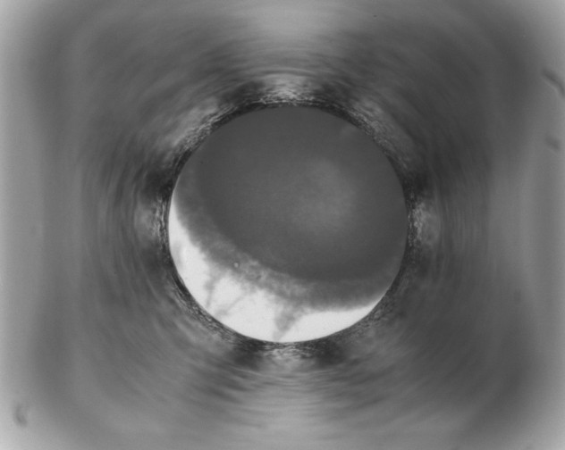 X0000102470423200808291609