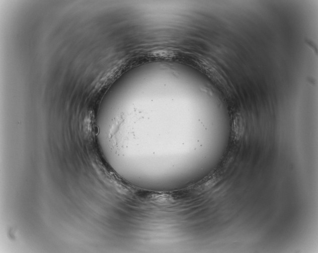 X0000102470424200808291609