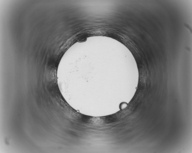 X0000102470425200808291609
