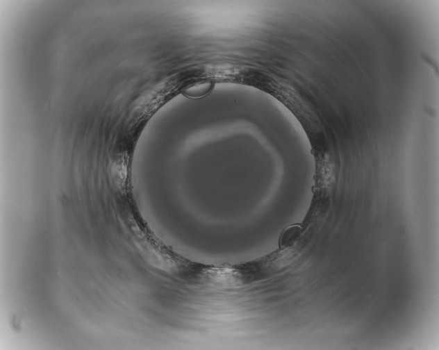 X0000102470427200808291609