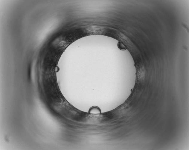 X0000102470429200808291609